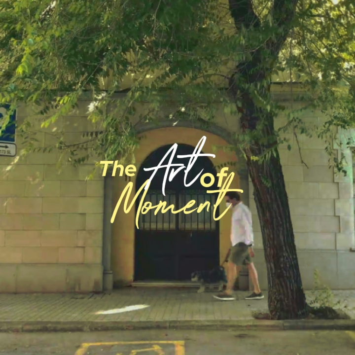 TheMomentOfArt 