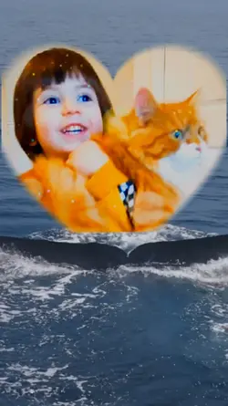 overlay whale