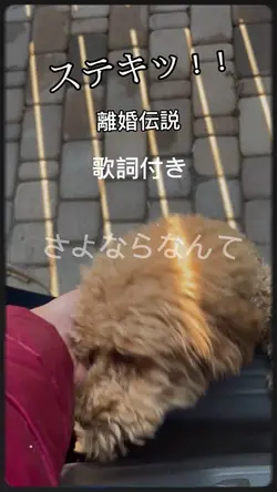 ステキッ!! 歌詞付き