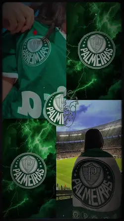 Time palmeiras 