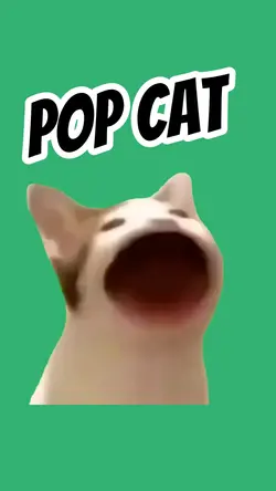 pop cat