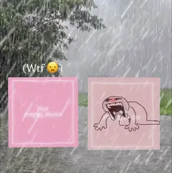 The rain fr ๐