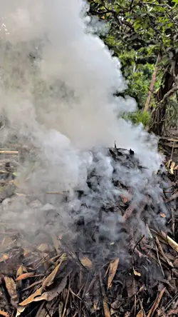 Slowmo 1 Video