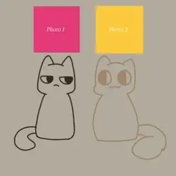Cute kitties 💕