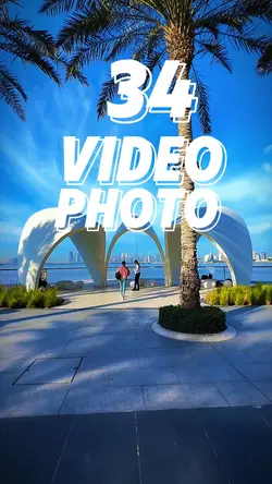 34 clip or photo 🇱🇷