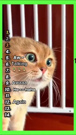 new viral trend