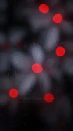 اتیت یا رمضان