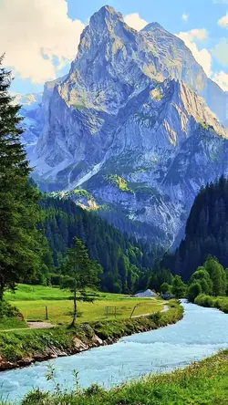7 clips nature hd