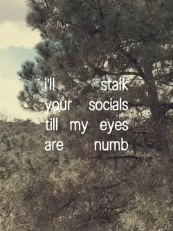 Stalk your socials