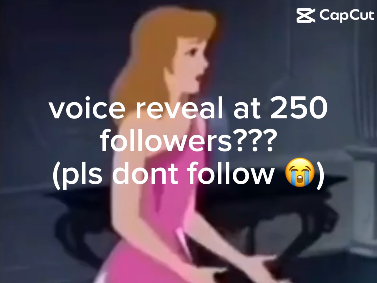 Pls no follow
