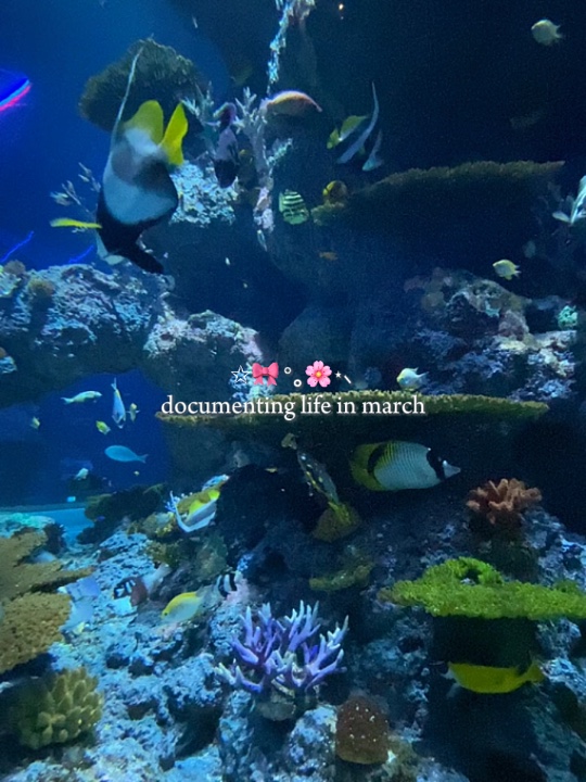 march dump