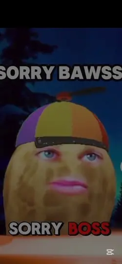 Sorry boss 