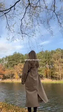 goodbye november