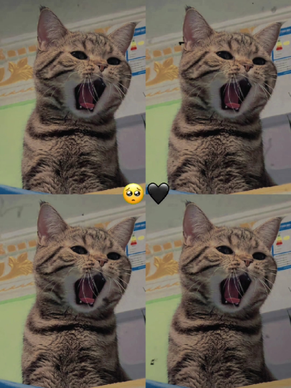 photo split