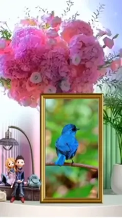 Photo frame 🖼️ 