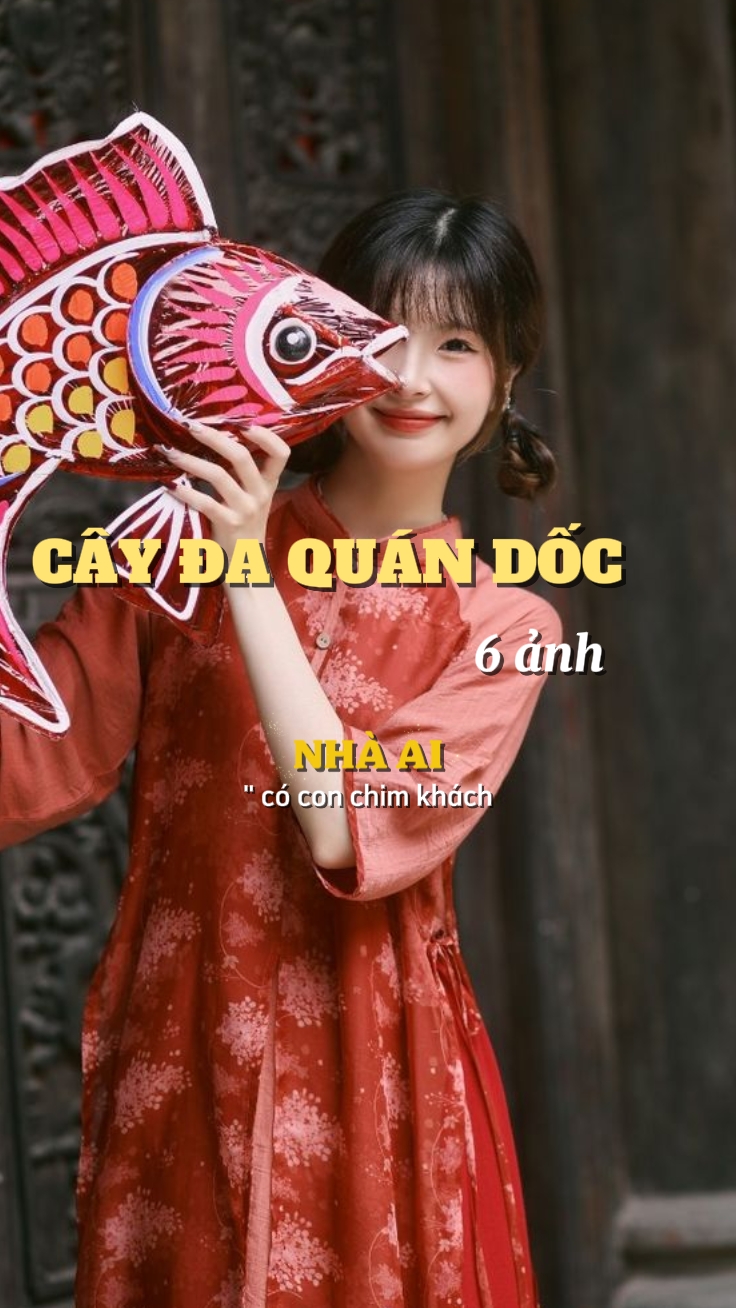 Cây đa quán dốc