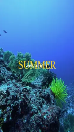 welcome summer