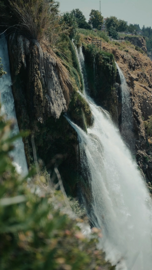 NATURE