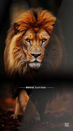 Pashto Poetry Lyrics