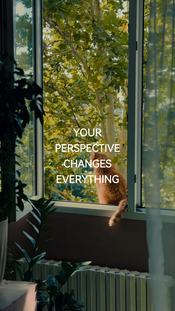 perspective mindset