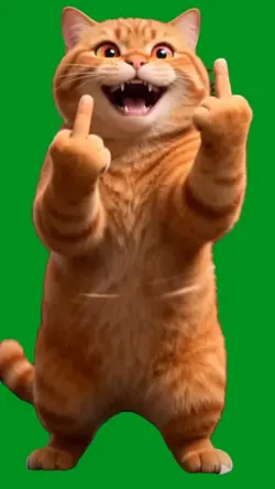 cat finger