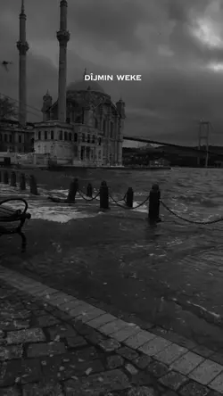 Yeni şablon
