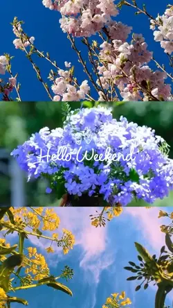 Hello Weekend