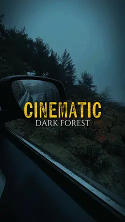 DARK FOREST
