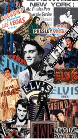 Elvis The King 