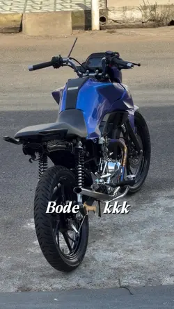 Vamos