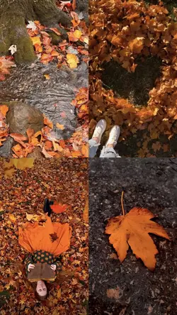 Autumnvibes