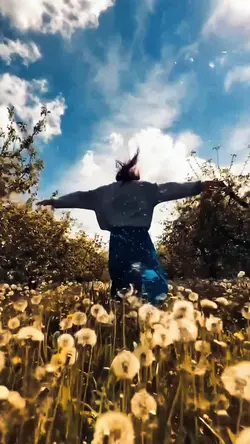 Siyara slowmo superb