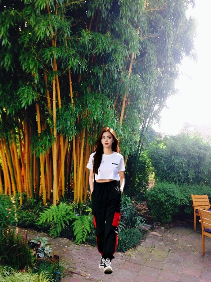 Bambu Kuning