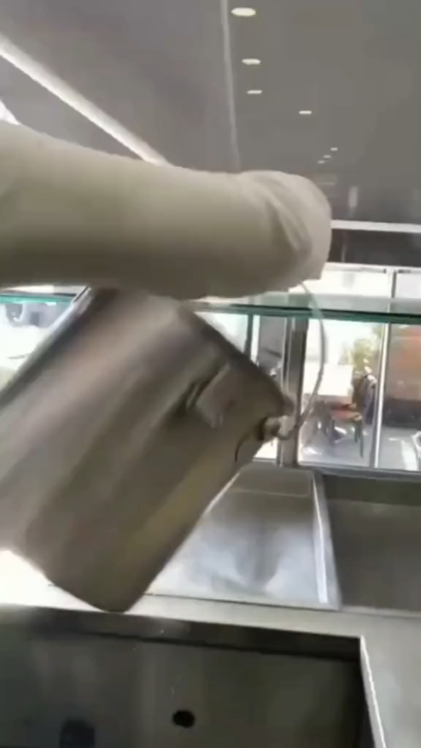 狗狗过渡 