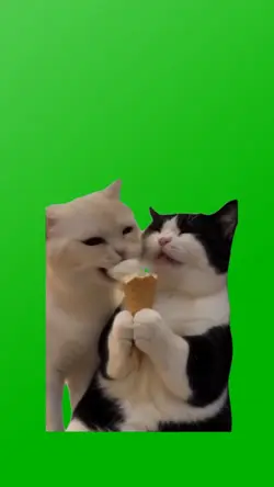 LOST ICECREAM?