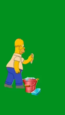 homer washing 