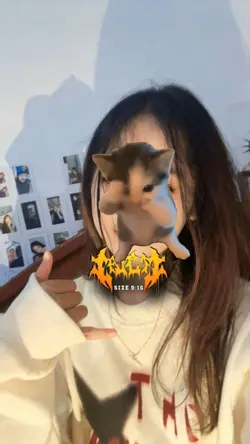 dj kicau mania