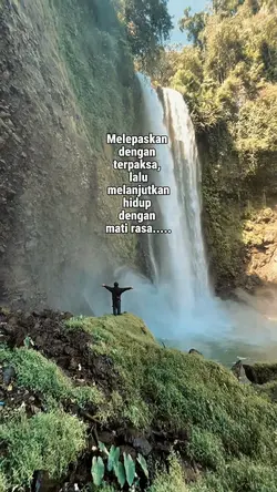 Melepaskan terpaksa