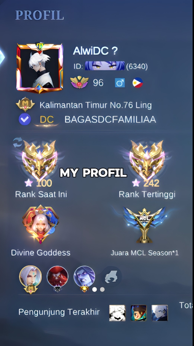 Mi perfil, mi chica
