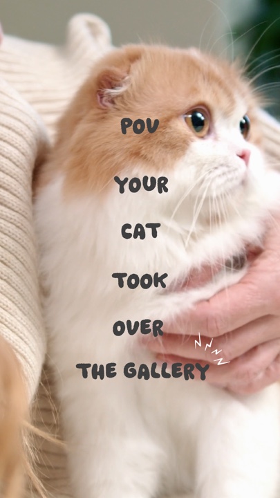 Gato na galeria