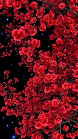 3d wallpaper