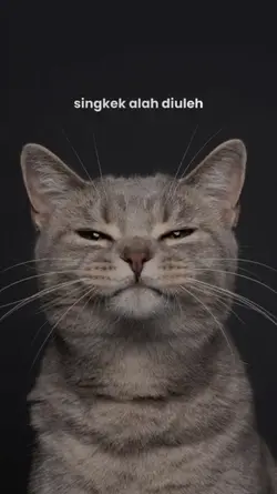 singkek alah diuleh
