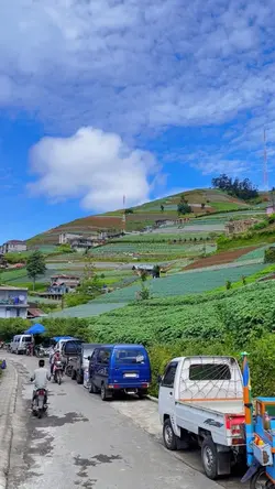 Cerah