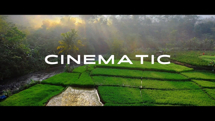 Cinematic aesthetic