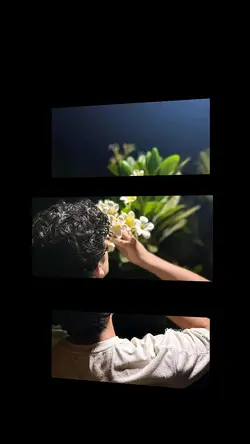 3 Pic Aesthetic Tem 