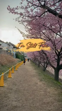 I'm Still Fine