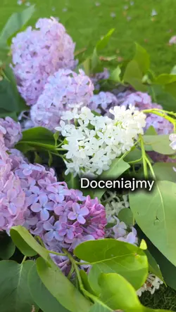 Doceniajmy życie