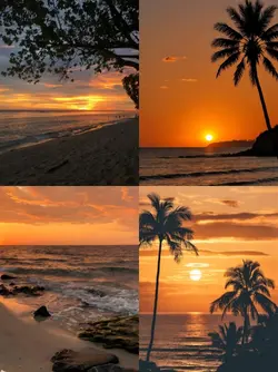 4pic only