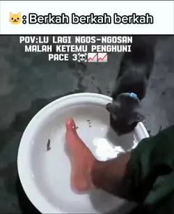 berkah |