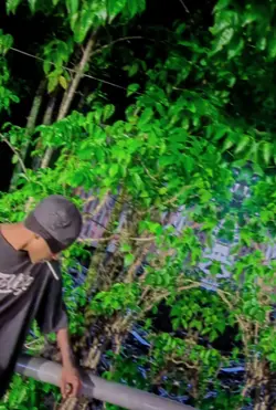 SINDERELA KECE PARA